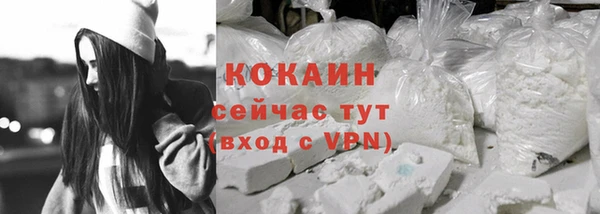 твердый Володарск