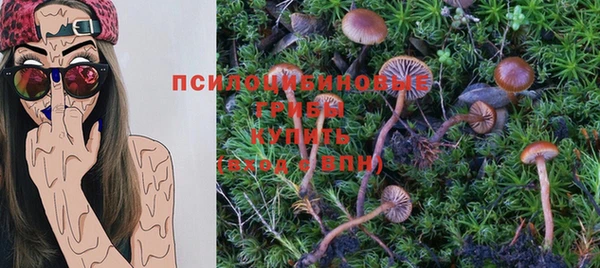твердый Володарск