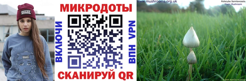 Галлюциногенные грибы MAGIC MUSHROOMS  Ворсма 