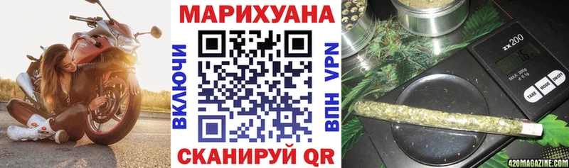 Конопля OG Kush  Ворсма 